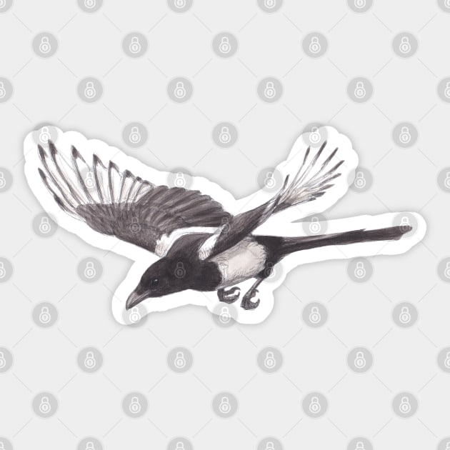 Magpie - Inktober Sticker by GaiaSorrentino